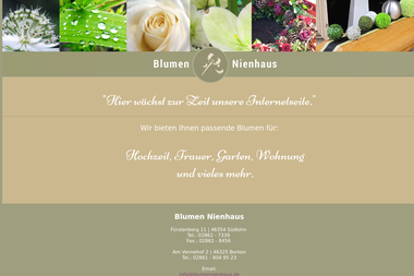 blumennienhaus.de - Blumengeschäft Borken