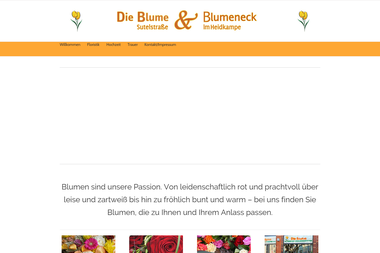 die-blume-hannover.de - Blumengeschäft Hannover