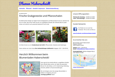blumen-haberscheidt.de - Blumengeschäft Koblenz