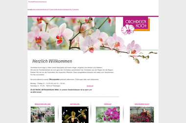 orchideen-koch.de - Blumengeschäft Lennestadt