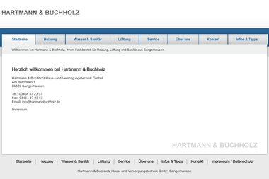 hartmannbuchholz.de - Kaminbauer Sangerhausen