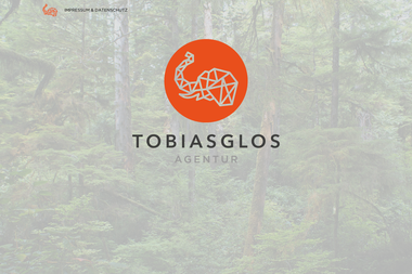 tobiasglos.de - Online Marketing Manager Bonn