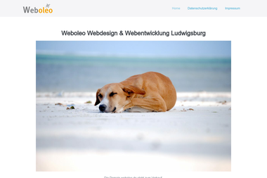 weboleo.de - Online Marketing Manager Ludwigsburg