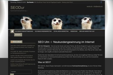 seodur.de - Online Marketing Manager Neu-Ulm
