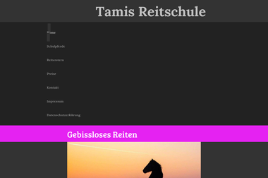 tamis-reitschule.de - Reitschule Stephanskirchen