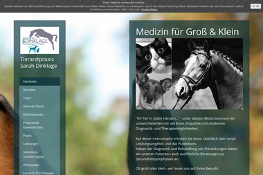 pferdepraxis-dinklage.de - Tiermedizin Bad Bentheim
