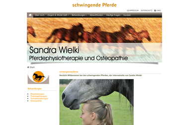 schwingendepferde.de - Tiermedizin Buchholz In Der Nordheide