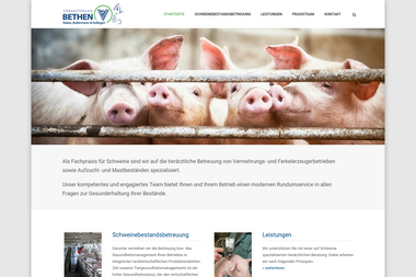 tierarztpraxis-bethen.de - Tiermedizin Cloppenburg