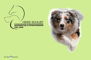 hundephysiotherapie-mv.de - Tiermedizin Güstrow