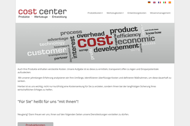 cost-center.com - Unternehmensberatung Donaueschingen