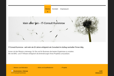 it-consult-kummrow.de - Unternehmensberatung Geesthacht