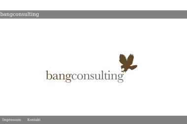 bang-consulting.com - Unternehmensberatung Rendsburg