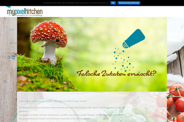 mypixelkitchen.de - Werbeagentur Ettlingen