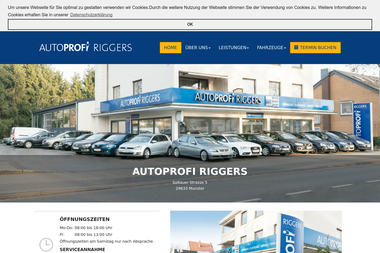riggers.autoprofi.de - Autowerkstatt Munster
