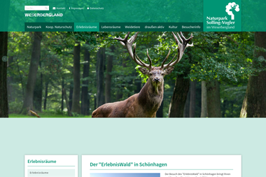 naturpark-solling-vogler.de/index.php/erlebniswald.html - Brennholzhandel Uslar