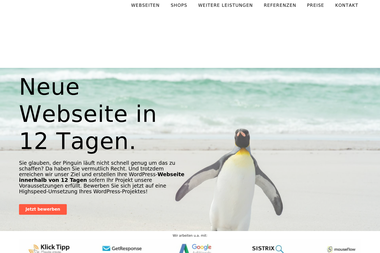 pinguinweb.de - Web Designer Essen