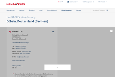 hansa-flex.com/niederlassungen/inland/land/de/ort/doebeln/betrieb/DOE.html - Marketing Manager Döbeln
