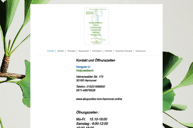 akupunktur-tcm-hannover.online - Heilpraktiker Hannover