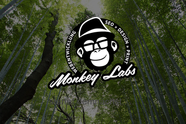 monkey-labs.de - Web Designer Ahlen