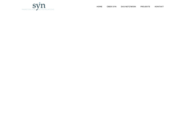 syn-network.com - Online Marketing Manager Kreuztal