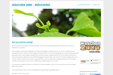 waschen2000sonneberg.wordpress.com - Reinigungskraft Sonneberg