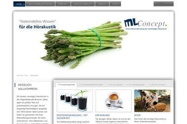 mlconcept.com - Unternehmensberatung Overath