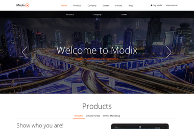 modix.eu - Online Marketing Manager Koblenz