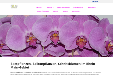 pflanzenblumengalerie.de - Blumengeschäft Bruchköbel