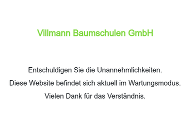 villmann-baumschulen.de - Blumengeschäft Wolfsburg