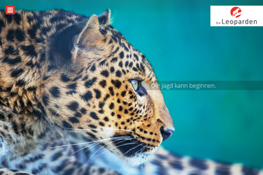 die-leoparden.de - Werbeagentur Gerlingen