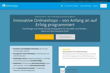 doehring.digital - Online Marketing Manager Baden-Baden