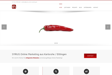 syrius-online-marketing.de - Online Marketing Manager Ettlingen