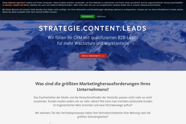 wohlfahrt.net - Marketing Manager Leipzig
